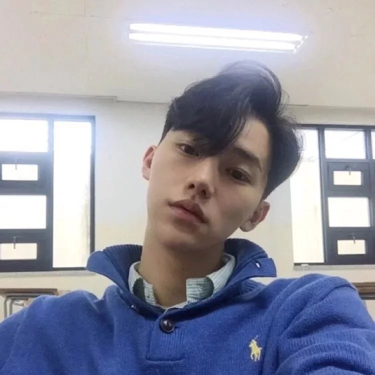 温绿岚莺