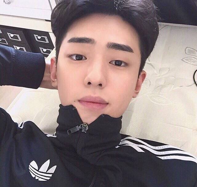文振菁雁
