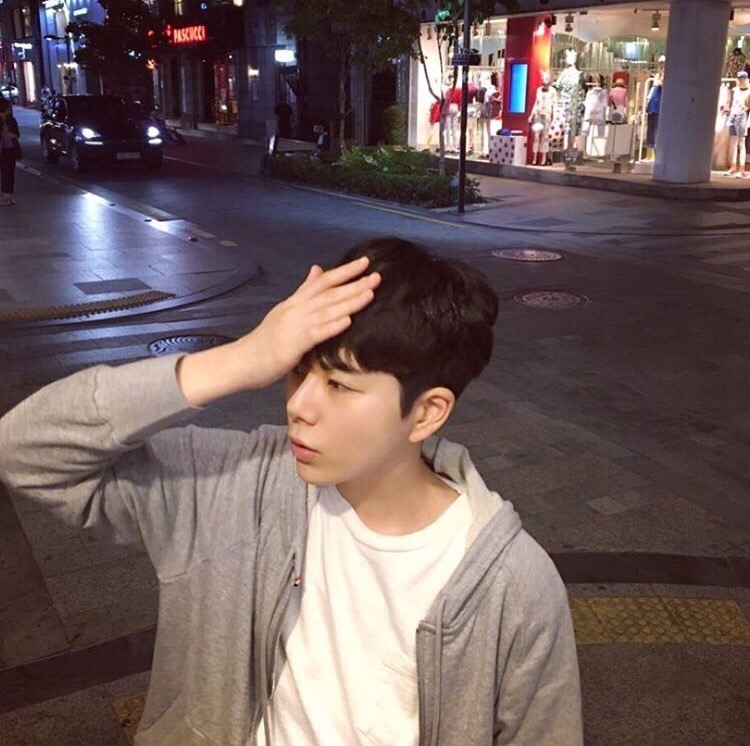 凌柔春影