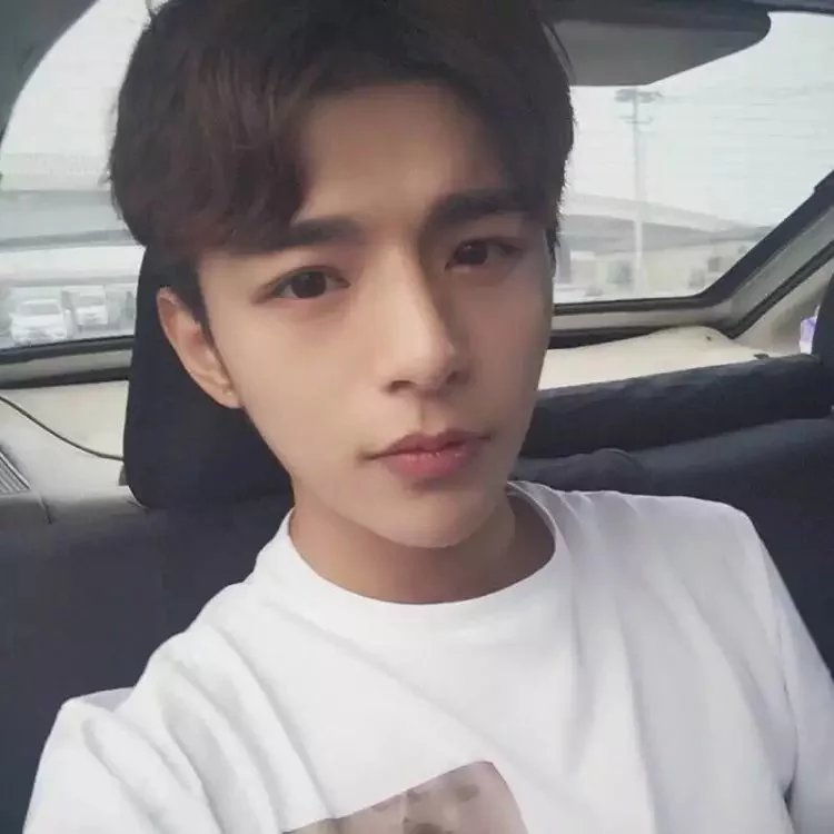 陶新弘瑶