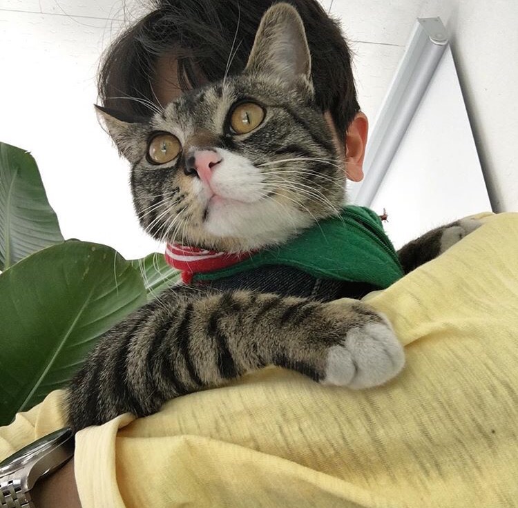 凌舒莉贝