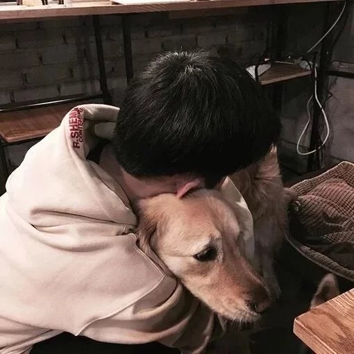 黎欣澜飞