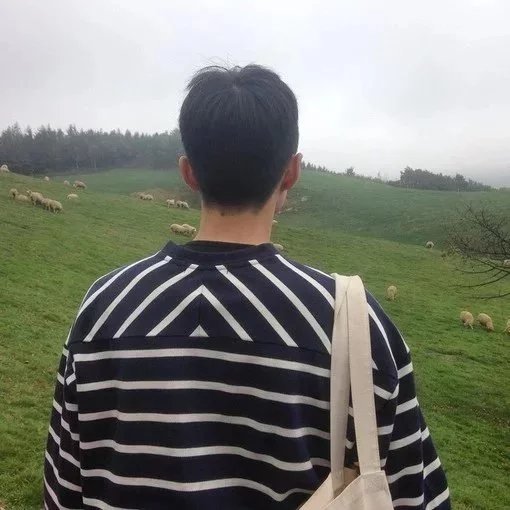 万绿子艺