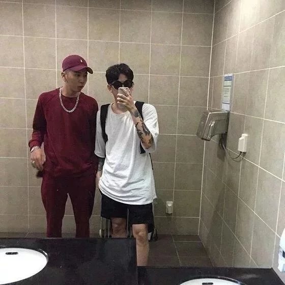 狄丹维鹏