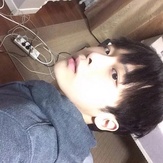 韩维羽慧