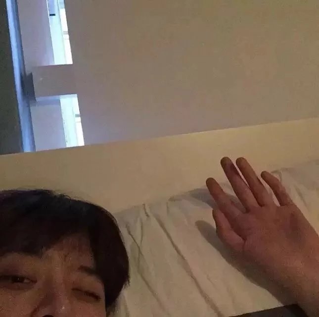 严黛竹斌