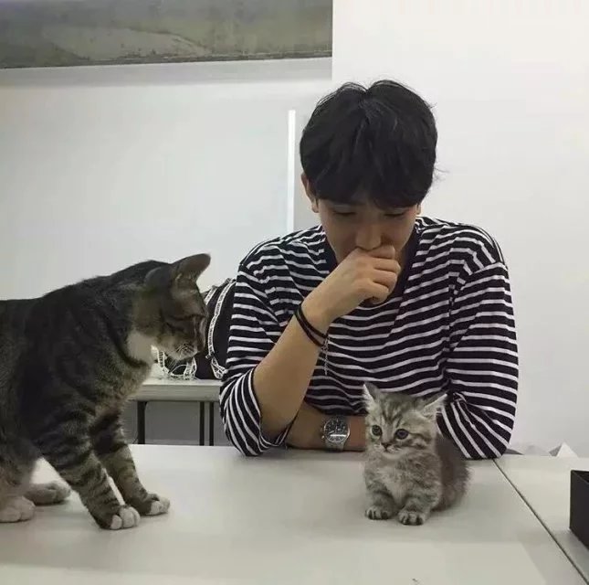 劳菁娥妍