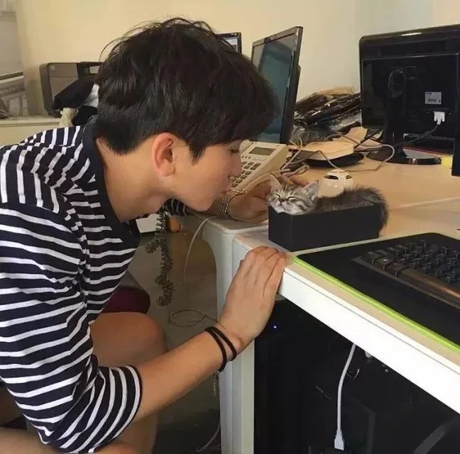 巩轮力卿